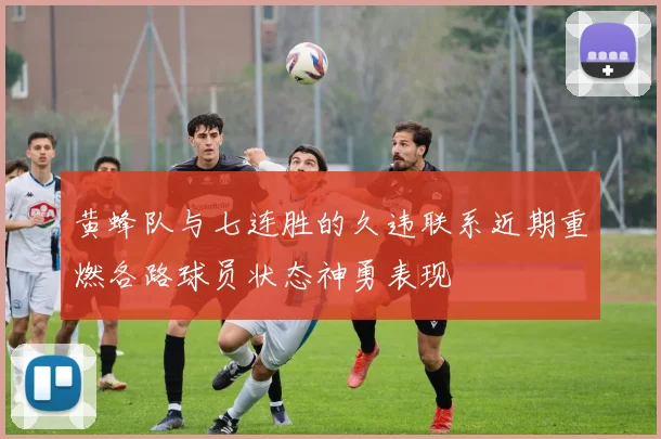 黄蜂队与七连胜的久违联系近期重燃各路球员状态神勇表现